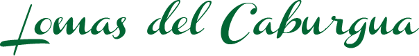 https://www.lomasdelcaburgua.com/wp-content/uploads/2020/12/bienvenida_titulo_lomas.png
