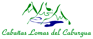 logo_pie
